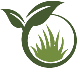 Tree Staking Service Pros