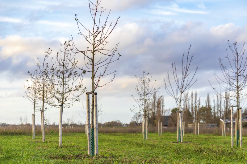 Tree Staking Service