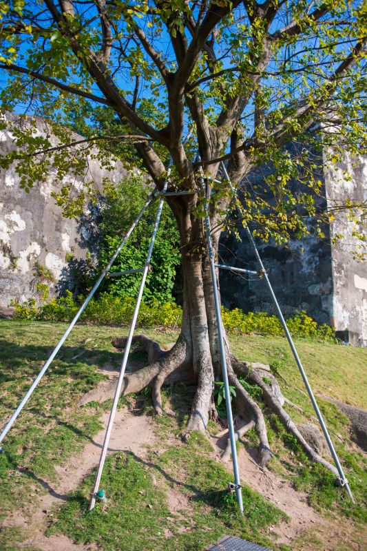 Staking Equipment Setup