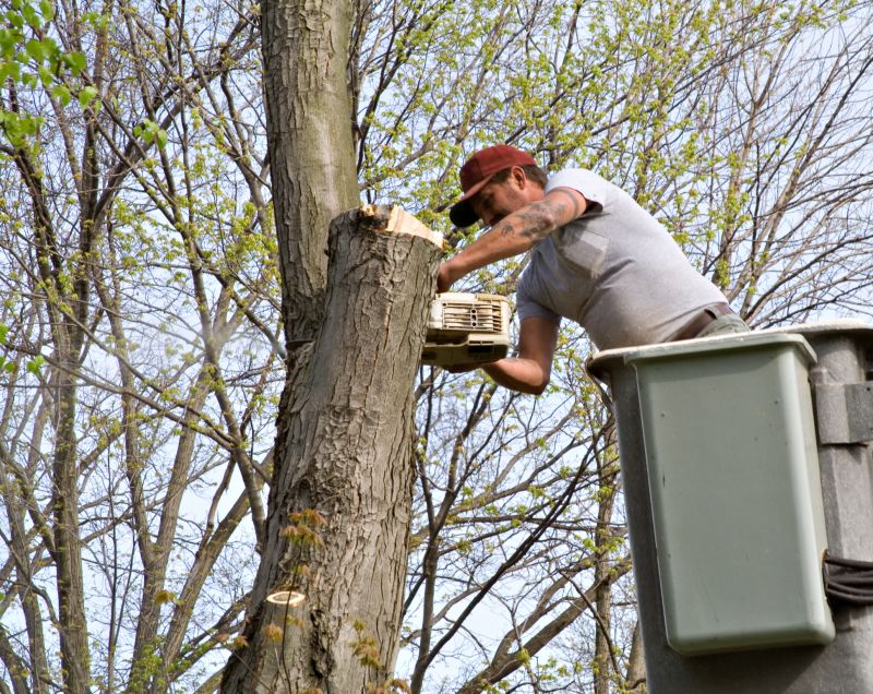 Contact About Tree Staking Service